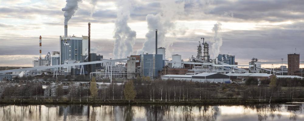 Photo: Kimmo Syväri / Koski Syväri/Metsä Group