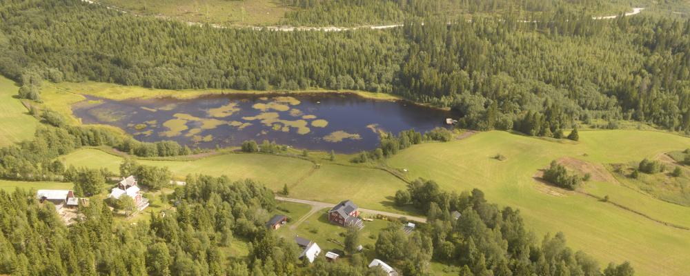 4evergreen is a cross-industry alliance perfecting the circularity of fibre-based packaging to contribute to a climate-neutral and sustainable society.