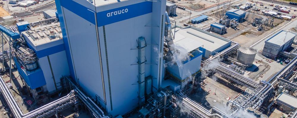Arauco plant in Chile. Photo: DiegoGIriarte/Wikimedia Commons