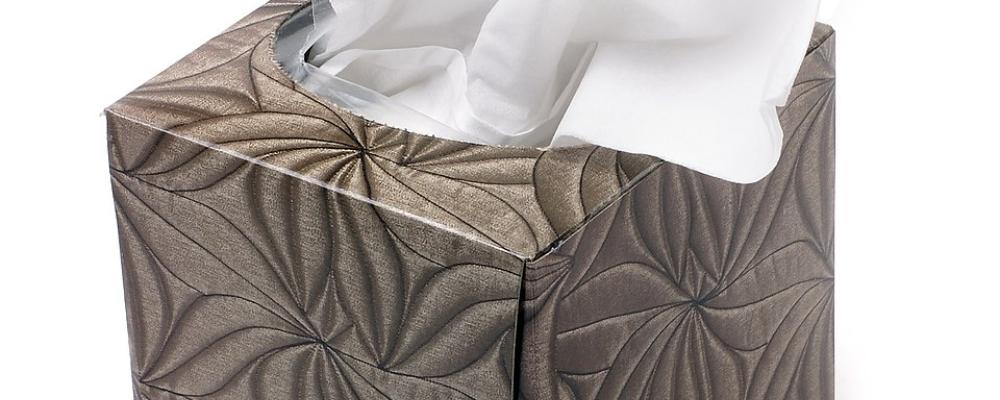 Kleenex is a one of Kimberly-Clark's most famous brands. Photo: Evan Amos/Wikimedia Commons