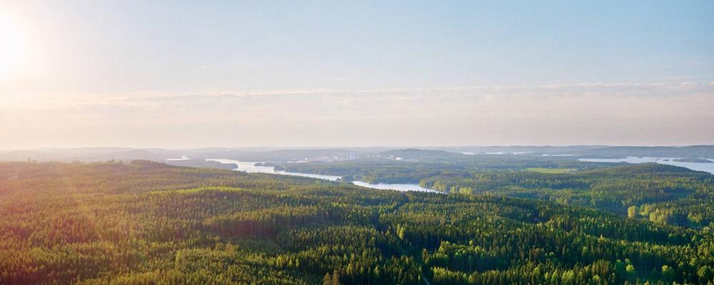 Photo: Alexi Koskinen/Metsä Board
