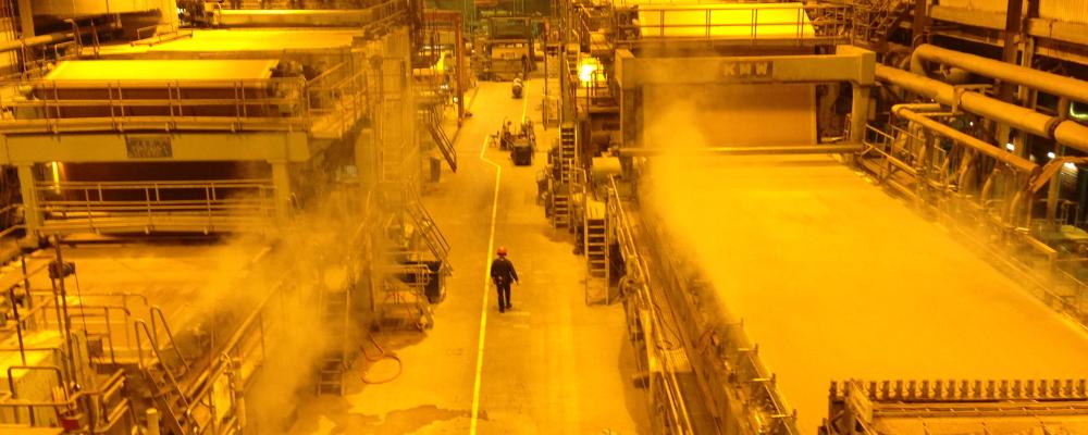 The pulp and paper industry has emerged - despite its own difficulties - as a relative stronghold, underscoring the urgent need for sustainable solutions to support Europe’s competitiveness.