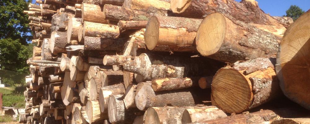 The partnership focuses on wood products, among other things.