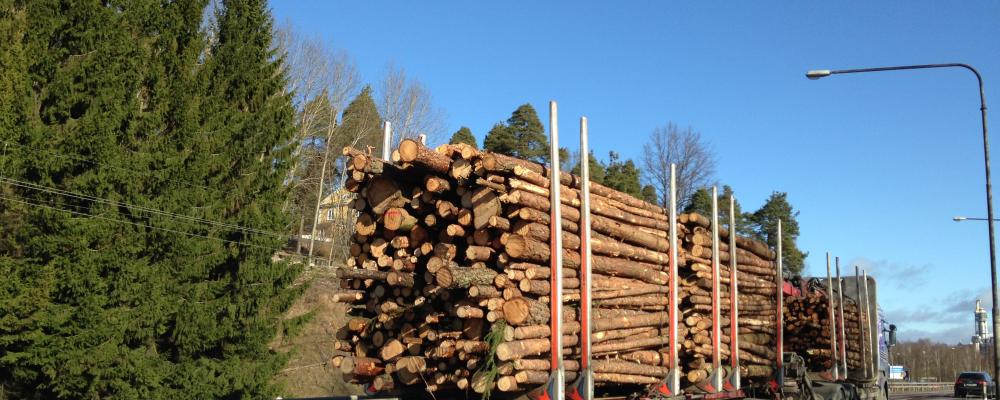 Stora Enso intends to create Europe's largest listed pure play forest company, comprising over 1.2 million hectares of forest land in Sweden with a fair value of approximately EUR 5.7 billion as of 30 September 2025.