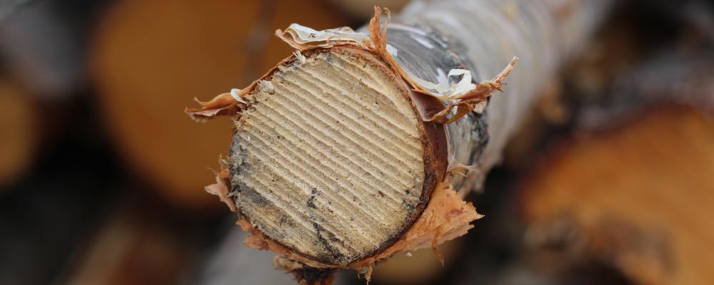 The certifications confirm that all wood-based feedstocks used in the biorefinery are sourced from sustainably managed forests and are fully traceable through credible third-party auditing schemes.