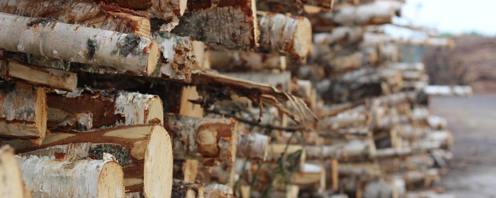Weyerhaeuser's THRIVE program is a key pillar of the company's broader 3 by 30 Sustainability Ambition.
