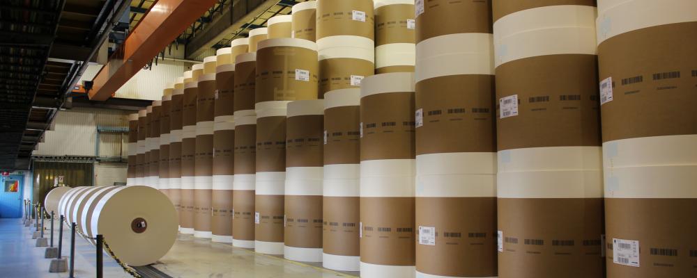 The government ordered the closure after Northern Pulp failed to meet the province's environmental requirements for a new effluent treatment plant.