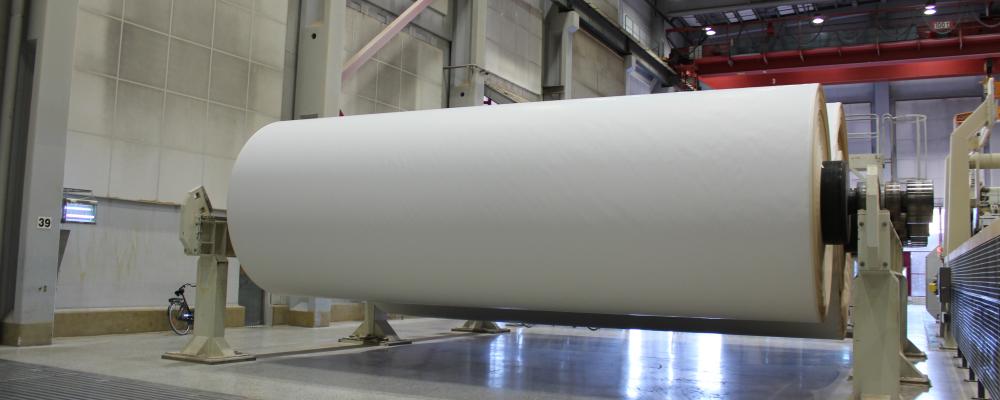 Klabin was the big winner of the EXAME Best of ESG award, in the Paper, Pulp and Forest Products category.