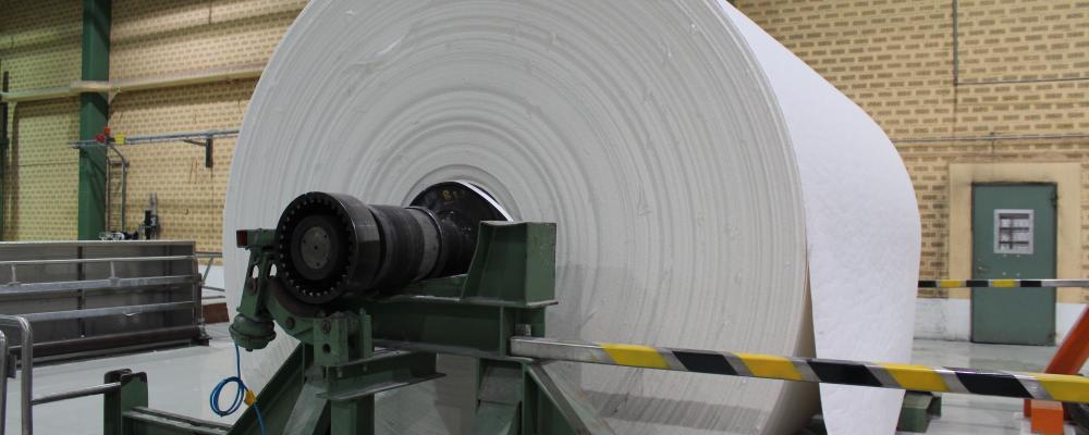 Paper roll. Suzano is the largest hardwood pulp producer in the world, operating eight pulp mills in Brazil with a combined production capacity of 13.5 million tons per year of pulp. Based in Brazil, the company also produces paper and tissue.