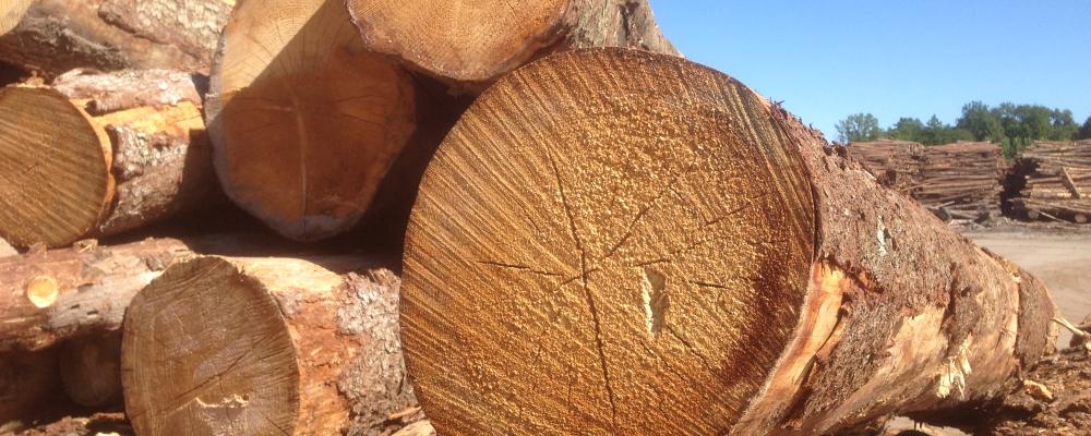 Weyerhaeuser Company, one of the world's largest private owners of timberlands, began operations in 1900 and today owns or controls approximately 10.4 million of acres of timberlands in the U.S., as well as additional public timberlands managed under long-term licenses in Canada.