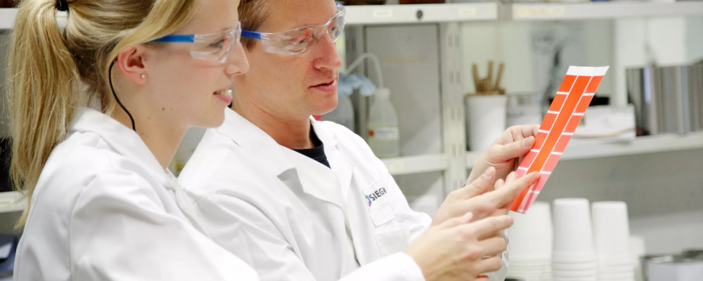 Siegwerk presents cutting-edge circular packaging solutions at the Specialty Films and Flexible Packaging Summit, highlighting its expanded coating expertise following the acquisition of Allinova. Photo: Siegwerk Druckfarben AG & Co. KGaA