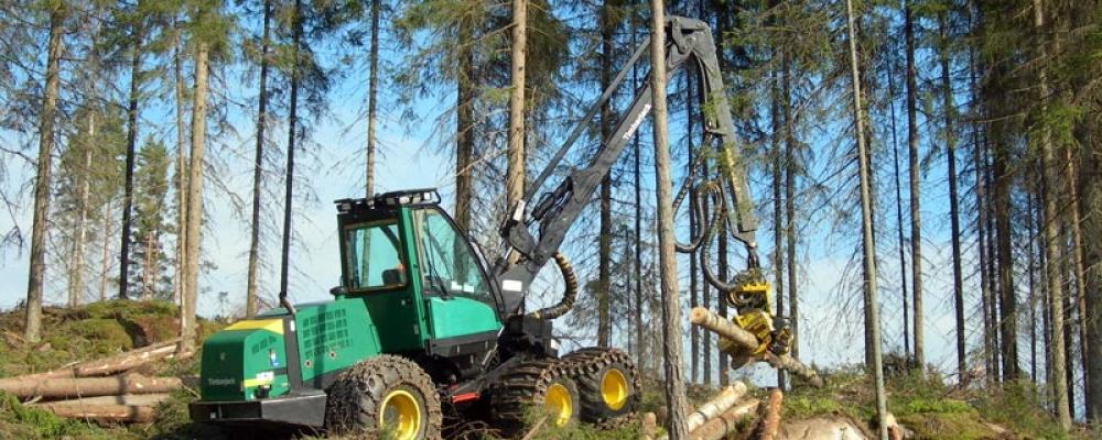 A Timberjack wheeled harvester stacks cut timber in Finland. Photo: Wikipedia Commons, credit: Heikki Valve.