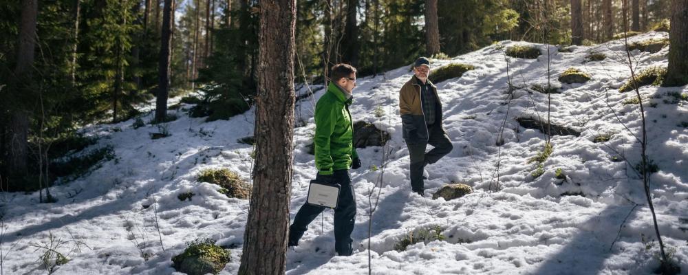 UPM’s own forests will serve as research areas and pilot sites, enabling rapid testing of results in practical forestry. The project begins in spring 2026 and will run for four years. Photo: UPM.