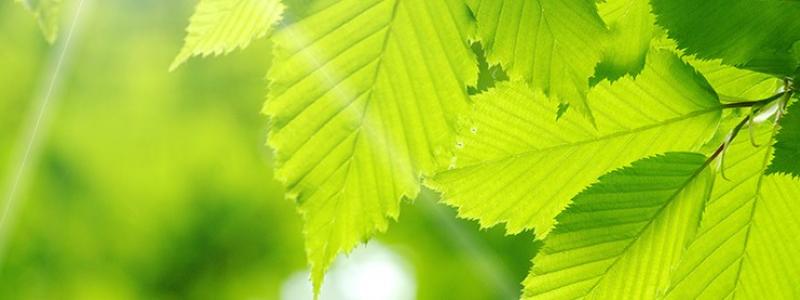 Photo: Valmet