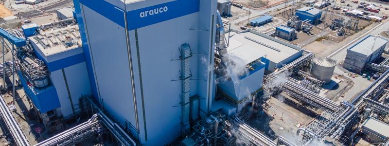 Arauco plant in Chile. Photo: DiegoGIriarte/Wikimedia Commons