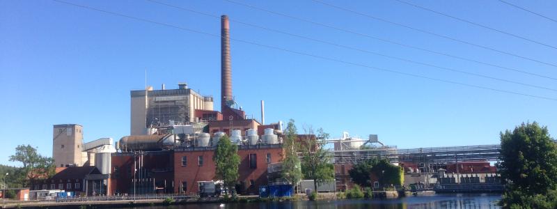 On 30 December 2025, all pulp and paper production mills must have the necessary systems working and ready to prove EUDR compliance. Only mills which use 100% recycled fibre or bamboo are excluded.