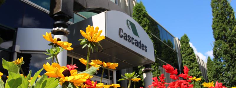 Photo: Cascades