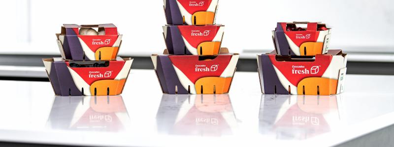 Cascades will offer more sustainable alternatives for hard-to-recycle packaging with a brand new line of produce baskets with flaps. Photo: CNW Group/Cascades Inc.