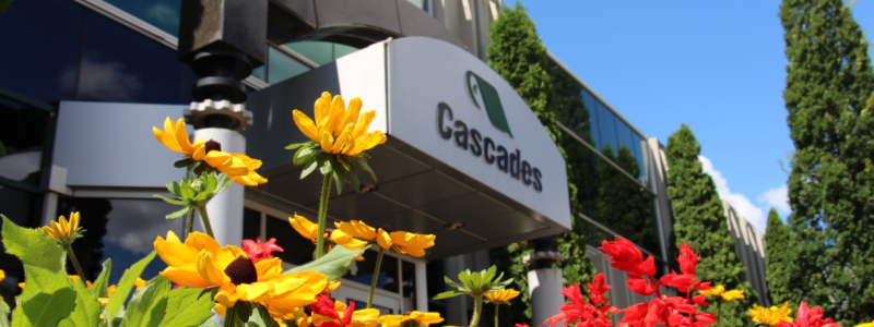 Photo: Cascades
