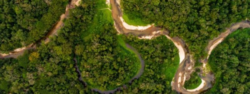 The program aims to connect cutting-edge science with local and traditional knowledge to develop solutions that generate economic value while preserving the rainforest and supporting communities across the Amazon. Photo: Idesam