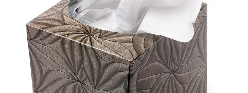 Kleenex is a one of Kimberly-Clark's most famous brands. Photo: Evan Amos/Wikimedia Commons