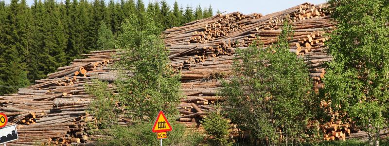 The US Lumber Coalition is an alliance of large and small softwood lumber producers from around the US.