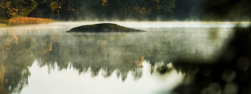 Photo: Holmen