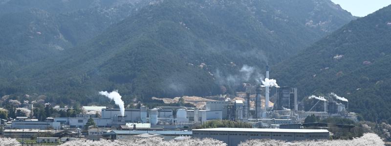 Photo: Hyogo Pulp Industries