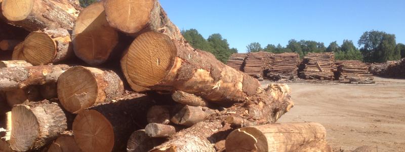 Junnikkala's sawmill operations will be fully incorporated into Stora Enso's Wood Products division and the wood procurement activities will be integrated into the Forest division.