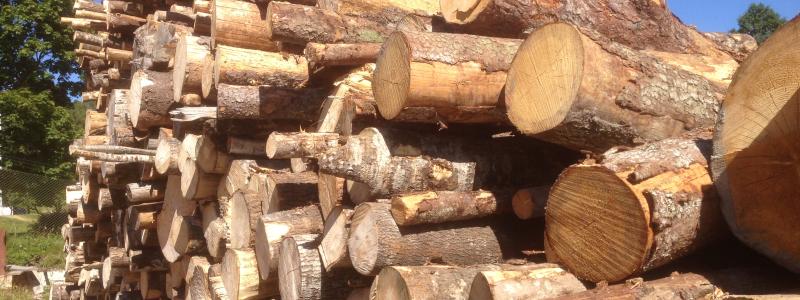 Strong U.S. trade law enforcement measures coupled with the appropriate application of Section 232 tariff measures have resulted in reducing Canada's softwood lumber market share in the U.S.