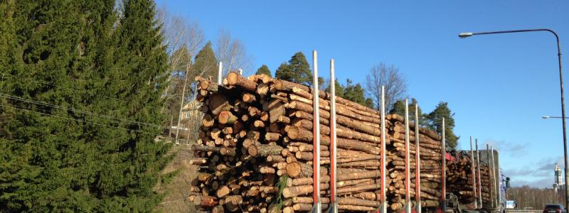 Stora Enso intends to create Europe's largest listed pure play forest company, comprising over 1.2 million hectares of forest land in Sweden with a fair value of approximately EUR 5.7 billion as of 30 September 2025.