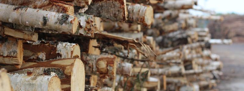 Weyerhaeuser's THRIVE program is a key pillar of the company's broader 3 by 30 Sustainability Ambition.