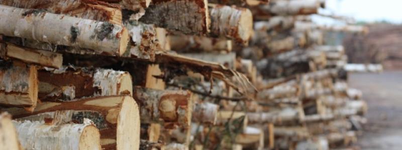 On 3 March 2025, Metsä Group announced the divestment of its wood supply business in Latvia, which at the time still required approval by the Latvian Competition Authority.