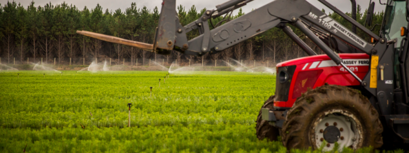 The acquisition makes gains for the company's target to be self-sufficient in wood, offers operational synergies, and generates value for Klabin. Photo: Klabin