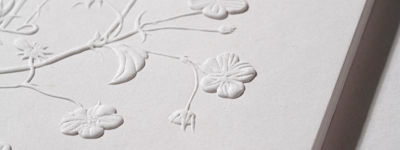 In packaging, paper is experiencing something of a renaissance.  Photo: James Cropper/Copyright: Plain Creative LTD