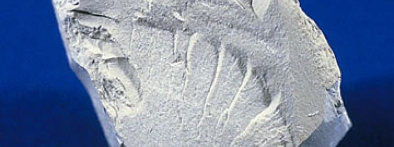 The new agreement will focus on kaolin supplies to the packaging and paper market in Europe. Image: Wikimedia Commons