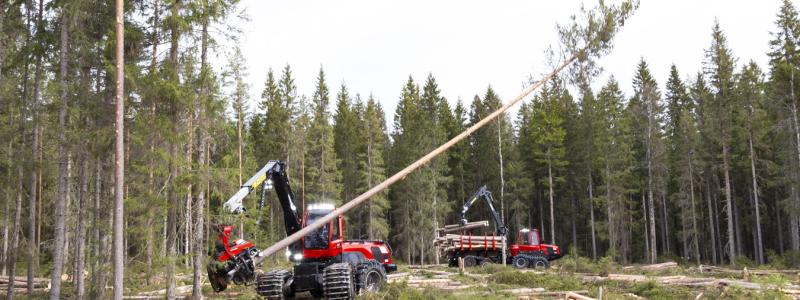 Malwa Forest produces small, lightweight forestry machines adapted for thinning and work in sensitive forest environments. Komatsu is a global industrial group based in Japan. Photo: Komatsu