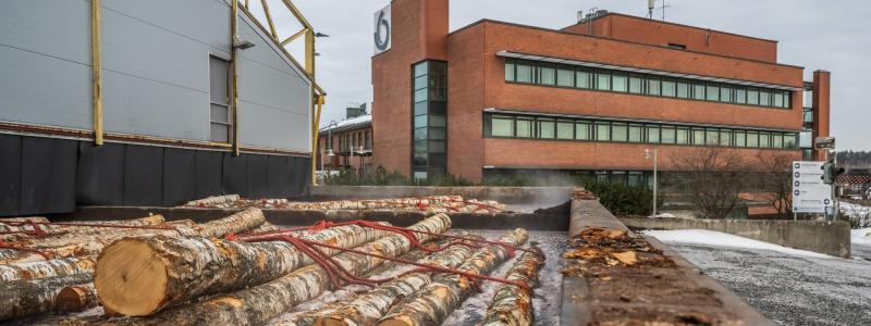 Finland’s forest sector splits: sawmill exports rise, but forest owners face weaker profits amid falling demand and structural shifts. Photo: Koskisen