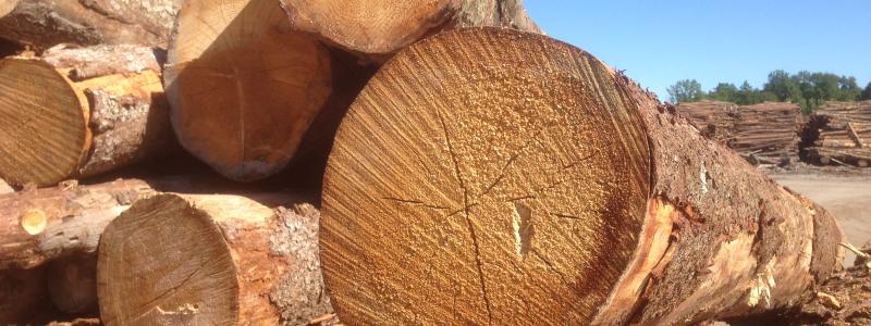 The U.S. Lumber Coalition is an alliance of large and small softwood lumber producers from around the country, joined by their employees and woodland owners, working to address Canada's unfair lumber trade practices.