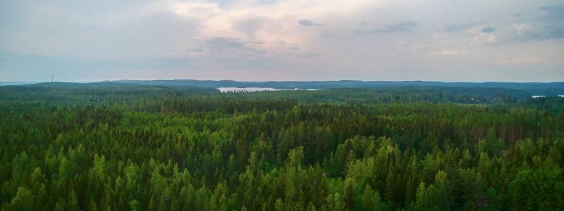 Photo: Metsä Board