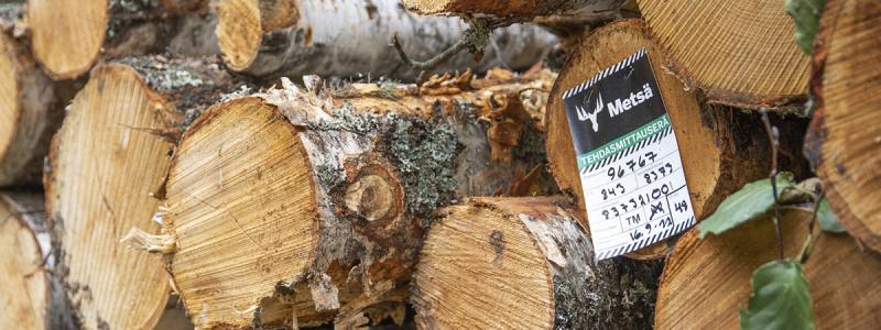 Photo: Metsä Group