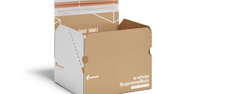 A combination of corrugated boxes and paper based MailerBAGS will be used to protect and transport fashion items across Europe, saving space and money. Photo: Mondi