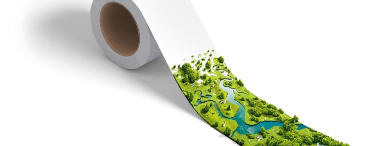 The use of certified paper helps to ensure that the wood utilised for the base papers is sourced from responsibly managed forests. Photo: Mondi