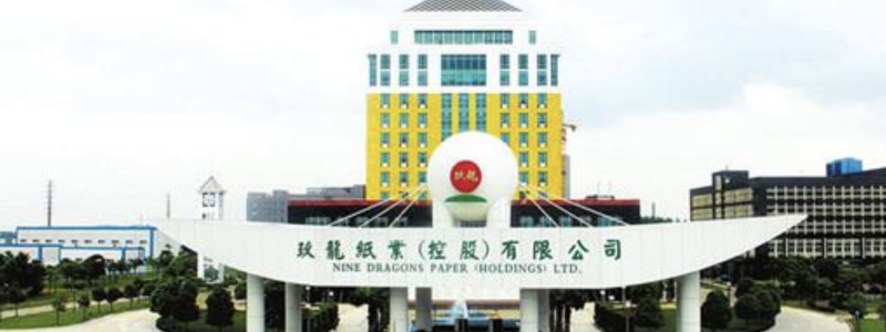 China’s Nine Dragons Paper has released positive financial results. Photo by Nine Dragons Paper