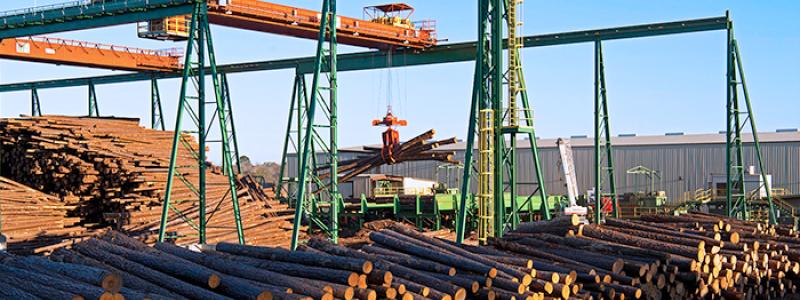 Photo: Resolute Forest Products