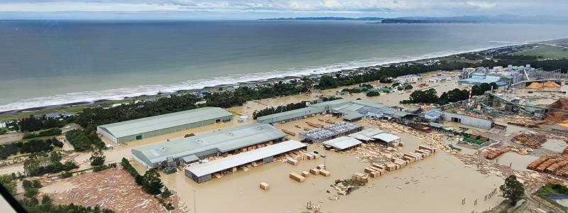 Pan Pac’s BCTMP pulp will soon re-enter the market and with a new PulpEye delivering fibre and pulp quality. Photo: Pan Pac