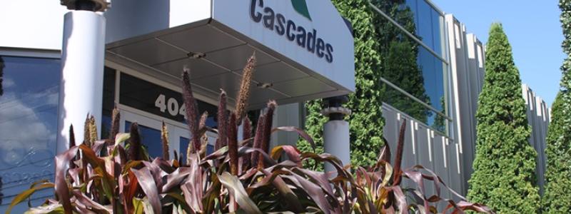 Photo: Cascades