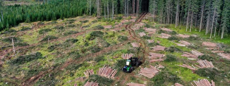 Stumpage revenues are a key component of Finland’s forestry value chain, which directly and indirectly employs around 80,000 people. Photo: Creative Commons Licence. Credit: Reijo Telaranta.