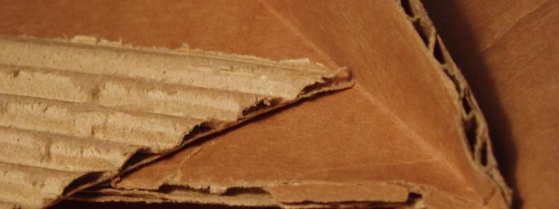 Photo: Richard Wheeler/Zephyris/Wikimedia Commons