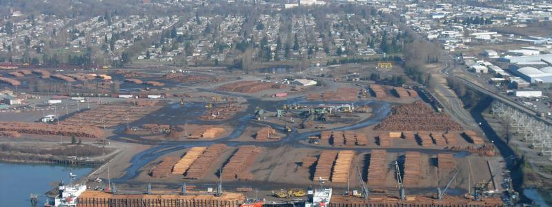 Timber for export in Longview. Photo: Sam Beebe/Wikimedia Commons
